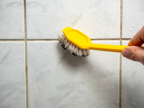 Best Best Mold Removal Companies  in Hamburg, PA