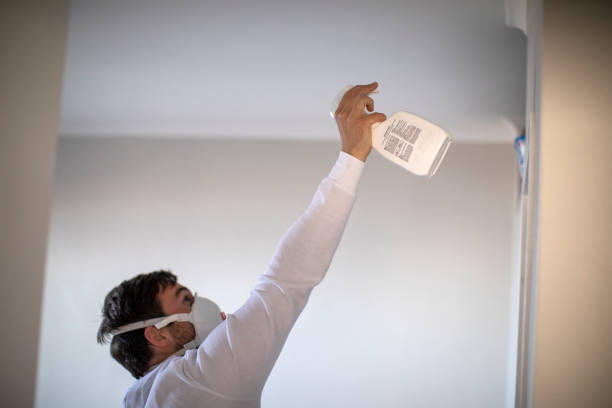 Best Mold Removal Near Me  in Hamburg, PA