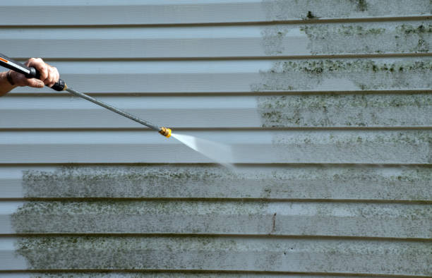 Best Attic Mold Removal  in Hamburg, PA