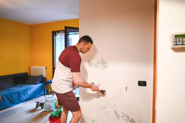 Best Certified Mold Removal  in Hamburg, PA